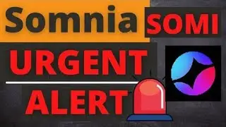 Somnia Coin Future Price Analysis | SOMI Crypto News Today | Somi Crypto | Safe For Invest