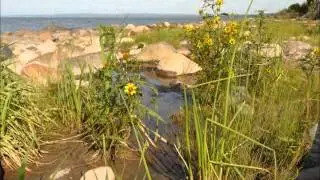 Landscapes of Lesser Slave Lake