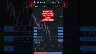 ✅ Extreme Volatile Market Test &mdash; PASSED SUCCESSFULLY #algotrading #forextrading