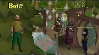 OSRS's Bot Problem is Affecting Everything!