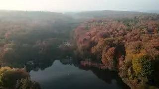 Aerial View of Autumn Forest and Lake