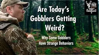 Are Today's GOBBLERS Getting Weird/ Do Some GOBBLERS Have Strange Behaviors