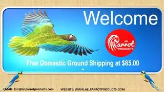 First Aid Kit for Birds &ndash; All Parrot Products