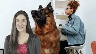Pet Aggression 1 Pipio Demo with realistic voice