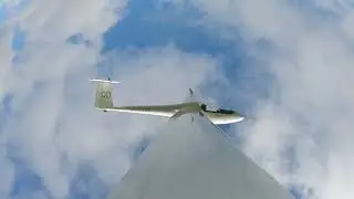 Mosquito Aerobatics