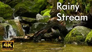 4K HDR Strink