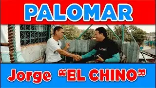 PALOMAR de Jorge 