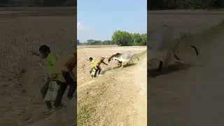 🙆&zwj;♂️🤣🙀 #funny #comedyforever #funnyvideos #whowillbemylifepartnerta #funnymoments #fishing