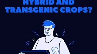 Do you know the difference between hybrid and transgenic crops? | BIOTECHNOLOGY IN ENGLISH