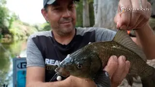 【𝐏𝐮𝐫𝐨 𝐦𝐞́𝐭𝐨𝐝𝐨 𝐅𝐞𝐞𝐝𝐞𝐫 𝐞𝐧 𝐞𝐥 𝐆𝐮𝐚𝐝𝐚𝐢𝐫𝐚】, Pesca a Feeder con Francisco Manuel Vázquez, Documental