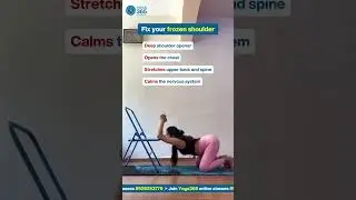 Chair Puppy Pose | Best Desk Yoga for Shoulder & Back Relief | Yoga365