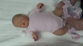 QUINBEE (Kit Laura Lee Eagles) wird vorgestellt...;-)