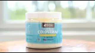 Bovine Colostrum Supplement Powder for Dogs & Cats!