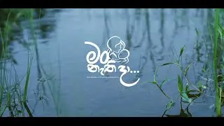 මං නැති දා | ධම්මික වික්&zwj;රමාආරච්චි | Man Nathi Da |Dhammika Wickramaarachchi |(Official Music Video)