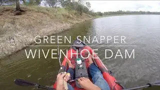Wivenhoe Tilapia Fishing on Dragon Kayaks