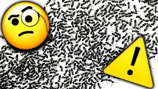 Ants Can Predict Severe Weather Amazing Storm Story 🐜 🌧 ✅