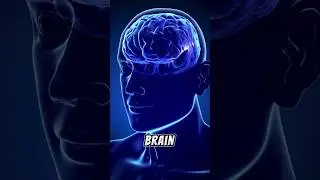 Your Brain storage and random facts about your brain. #facts #curiosity #randomfacts #brainfacts