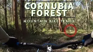 First Time at Cornubia MTB Trails | Silverback Stride | 30/07/22 🚵