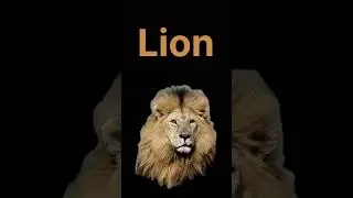 L for 🦁 lion #lforlion #shortsvideo #abcd