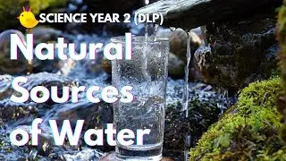 Natural Sources of WATER | Science DLP Year 2