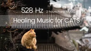 Music for Cats to make them happy 528Hz and piano