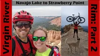 Virgin River Rim (Part 2): Still My All-Time Favorite! | Mountain Biking Utah