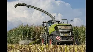 CLAAS JAGUAR 990!! Trinciato 2022 Gruppo Pea