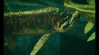 Isla Nycta | Mod Addition | Arazoa Xiphactinus
