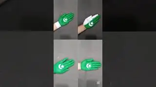 Pakistan Zindabad 🇵🇰 #craftideas #viralvideo #trending #pakistan #painting #diy #ytshorts #viral