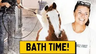 My Oldest Horse Gets A Bath!