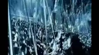 dnatc 1.flv