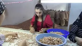 FISTIK G&Uuml;ZELİ