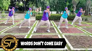 WORDS DON’T COME EASY ( Dj Riche Remix ) - Dance Trends | Dance Fitness | Zumba