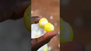 Sour Balls Of Joy | ASMR