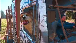 FarCry: New Dawn - Trophies