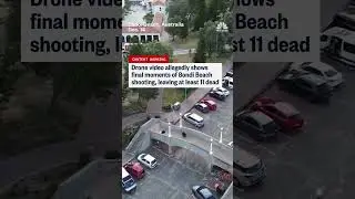 Drone video allegedly shows final moments of Bondi Beach shooting