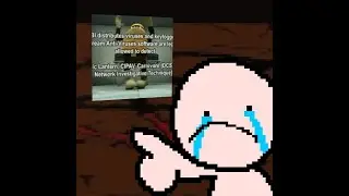 Binding of Isaac - Killer Bean Schizopost Mod