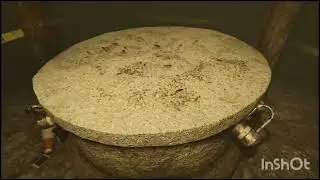 さぁ、井戸の中には、何があるのかな！？　[MADiSON]