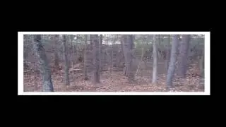 deermask