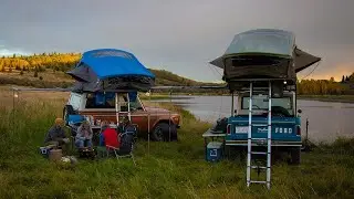 Treeline Family Camping