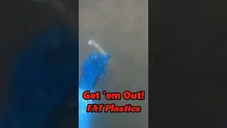 Lure Hunting! Hidden FAT Plastics #fishingshorts