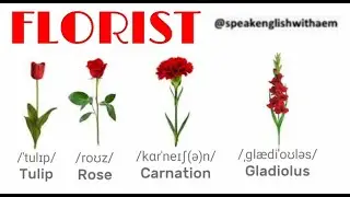 FLORIST 🌷 in English _ VOCABULARY