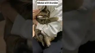 Nikolai with Brandon be like 😂🪷#nikolaisokolov #brandonking #nikobran #shorts #godoffury
