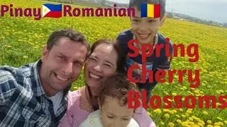 SPRING CHERRY BLOSSOMS IN ROMANIA  - Pinay 🇵🇭Romanian 🇷🇴