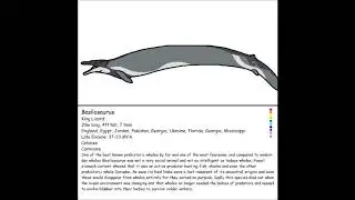 Basilosaurus [PALEO FILES EPISODE #6]