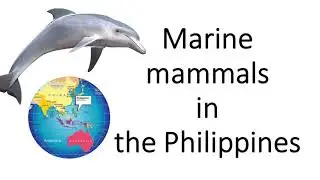 Conservation Status of Marine Mammals