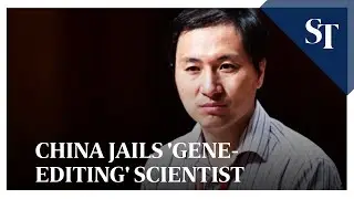China jails 'gene-editing' scientist