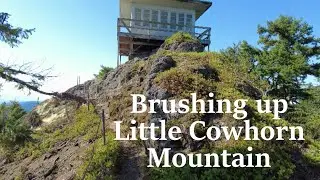 Brushing Up Little Cowhorn Mountain