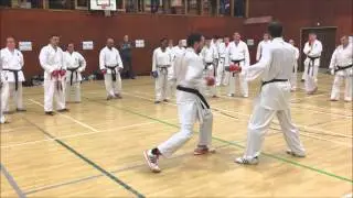 Christophe Pinna at Kanzen Karate 2015 (3) - Dundee