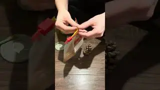 Quick and easy cinnamon scented pine cones!